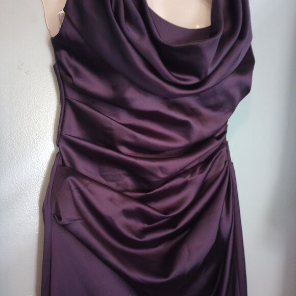 David's Bridal eggplant runched side sleeveless formal - Picture 3 of 9
